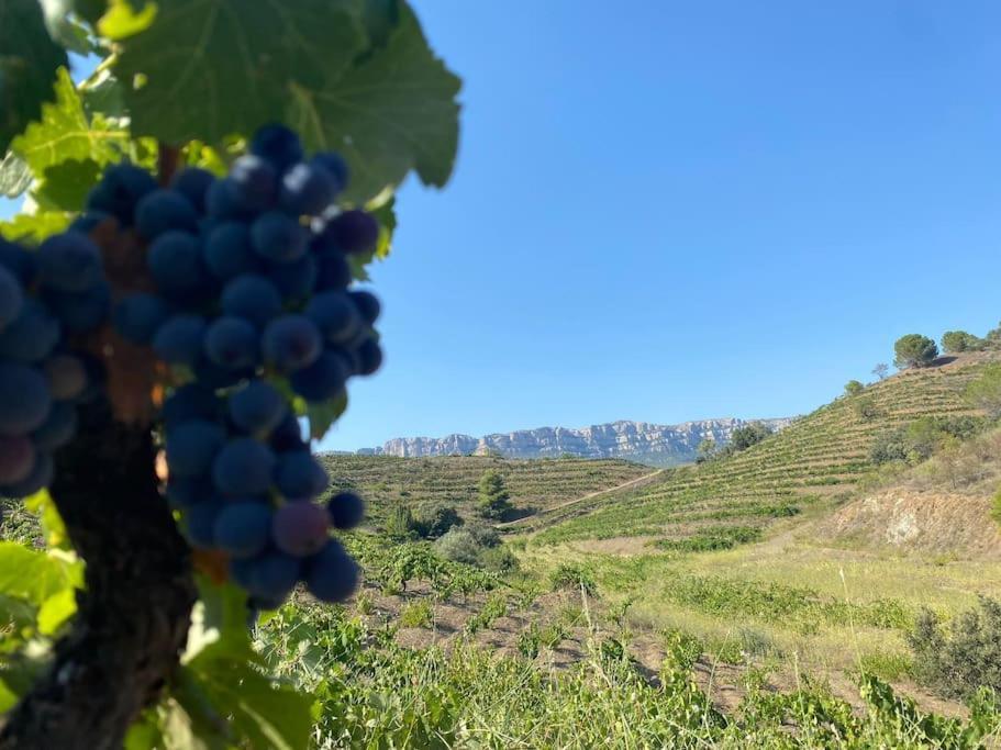 Vinyes Del Priorat Apartment Cornudella de Montsant Exterior photo